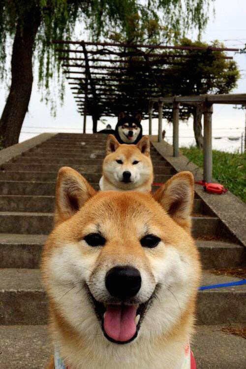 开云官网-摩纳哥仰泳选手状态回暖，摩纳哥冠军