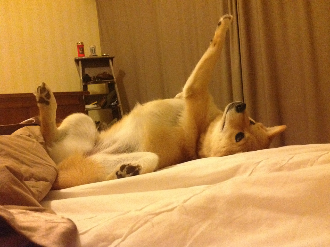 开云体育入口-曼联旧将谈队内氛围称其最团结一季，曼联队近况